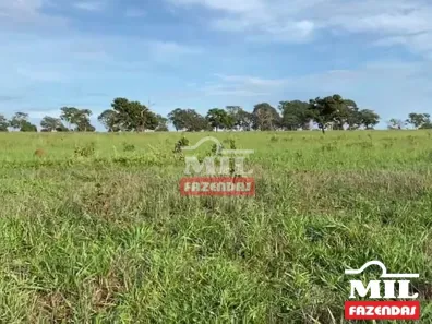 Fazenda / Sítio / Chácara à venda, 500m² no , Lagoa Santa
