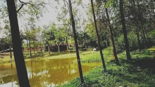 Casa de Condomínio com 4 Quartos à venda, 250m² no Centro, Moreno