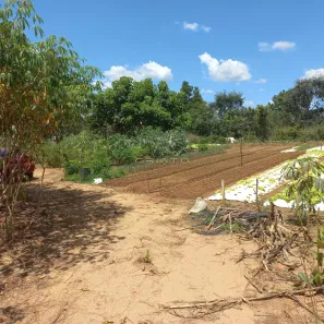 Terreno / Lote / Condomínio à venda, 500m² no Setor Lagoa Quente, Caldas Novas