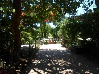 Fazenda / Sítio / Chácara com 2 Quartos à venda, 32000m² no Cotia, Guapimirim