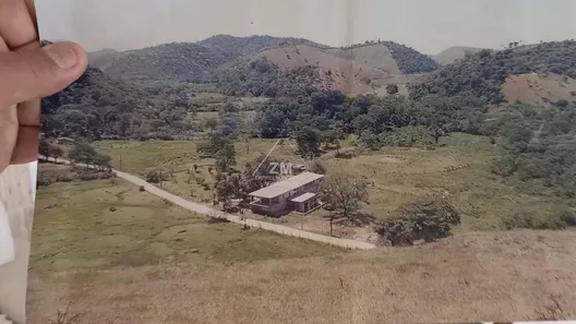 Fazenda / Sítio / Chácara com 9 Quartos à venda, 1200m² no Tinguá, Nova Iguaçu