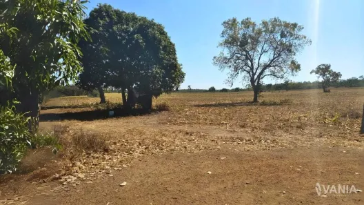 Fazenda / Sítio / Chácara à venda, 726000m² no Setor Central, Ponte Alta do Tocantins
