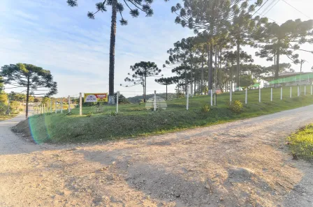 Fazenda / Sítio / Chácara com 3 Quartos à venda, 216m² no Palmeirinha, Campina Grande do Sul