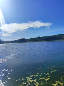 Fazenda / Sítio / Chácara com 4 Quartos à venda, 720000m² no , Brejinho