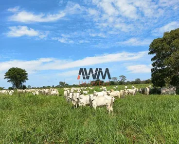 Fazenda / Sítio / Chácara à venda, 2420000m² no Centro, Cristalândia