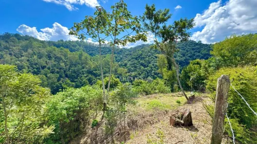 Terreno / Lote / Condomínio à venda, 3900m² no Itaipava, Petrópolis