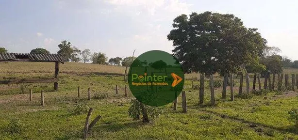 Fazenda / Sítio / Chácara à venda, 10599600m² no Vila Oeste, Paraíso do Tocantins