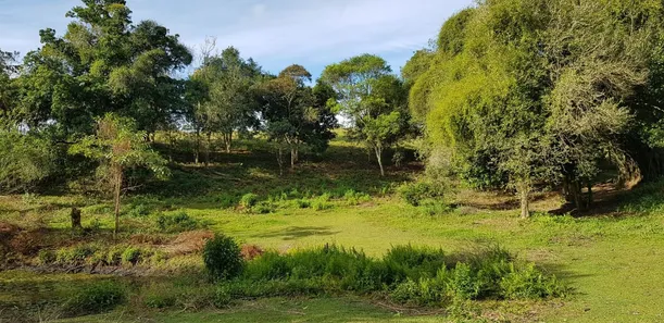 Terreno / Lote / Condomínio à venda, 5000m² no Boca do Mato, Cachoeiras de Macacu