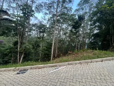 Terreno / Lote / Condomínio à venda, 3000m² no Quarteirão Ingelheim, Petrópolis