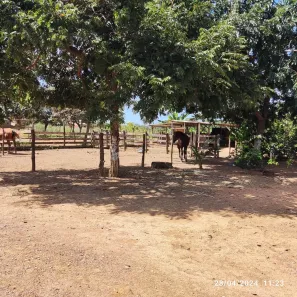 Fazenda / Sítio / Chácara com 3 Quartos à venda, 500m² no Chácaras Araguaia, Novo Gama