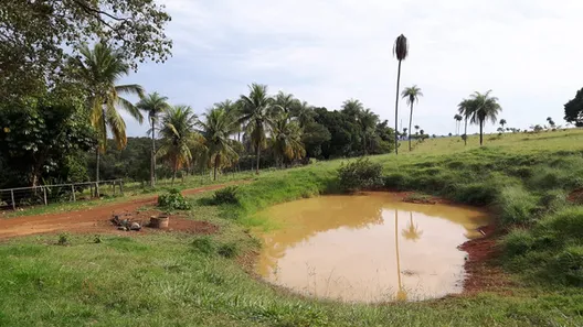 Fazenda / Sítio / Chácara à venda, 280000m² no Centro, Formosa