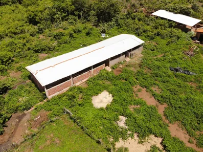 Fazenda / Sítio / Chácara com 3 Quartos à venda, 124000000m² no Centro, Campo Maior