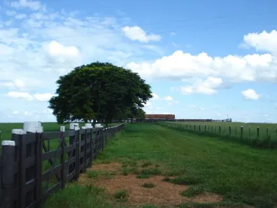 Fazenda / Sítio / Chácara com 10 Quartos à venda, 1000m² no , Pompéia