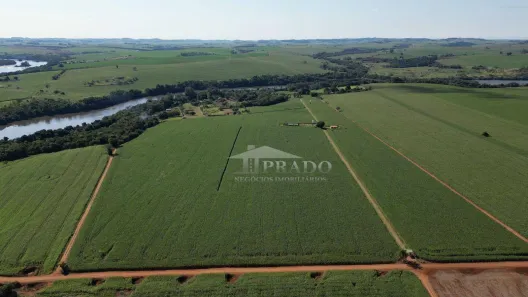 Fazenda / Sítio / Chácara com 6 Quartos à venda, 1100m² no , Ibiporã