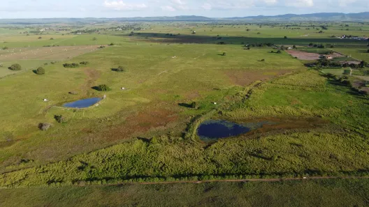 Fazenda / Sítio / Chácara à venda, 540000m² no , Pilar