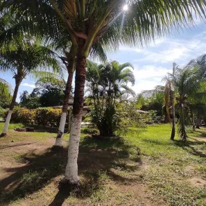 Terreno / Lote / Condomínio à venda, 150m² no Loteamento Bosque Ponta da Areia, Itaparica