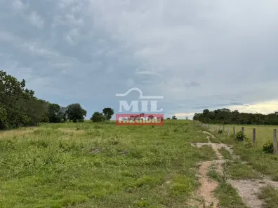Fazenda / Sítio / Chácara à venda, 500m² no , Formoso do Araguaia