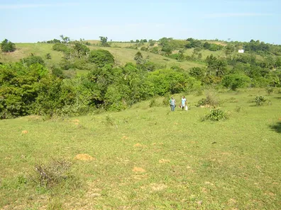 Terreno / Lote / Condomínio à venda, 291666m² no , Simões Filho