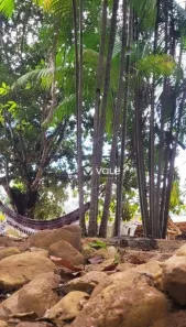 Fazenda / Sítio / Chácara com 3 Quartos à venda, 474m² no Centro, Paraíso do Tocantins