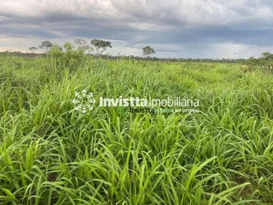 Fazenda / Sítio / Chácara à venda, 1040m² no Centro, Lagoa da Confusão