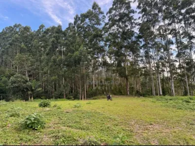 Terreno / Lote / Condomínio à venda, 4000m² no Centro, Águas Mornas