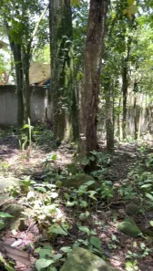 Terreno / Lote / Condomínio à venda, 583m² no Maresias, São Sebastião