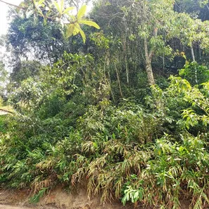 Terreno / Lote / Condomínio à venda, 503m² no Quitandinha, Petrópolis
