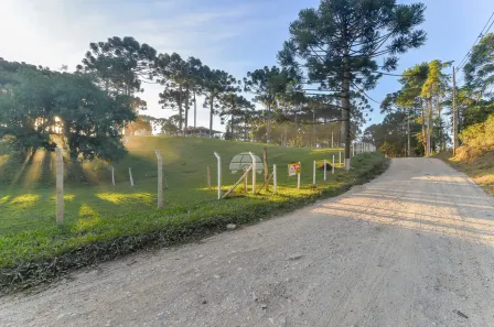 Fazenda / Sítio / Chácara com 3 Quartos à venda, 216m² no Palmeirinha, Campina Grande do Sul