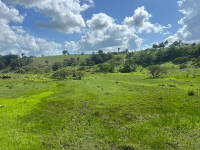 Fazenda / Sítio / Chácara à venda, 360000m² no , Sairé
