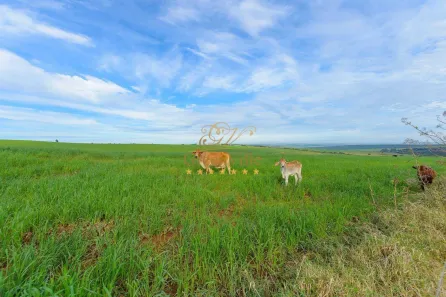 Fazenda / Sítio / Chácara com 4 Quartos à venda, 3146000m² no Colônia Dona Luíza, Ponta Grossa
