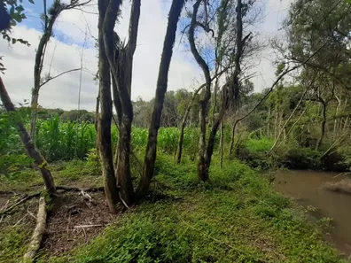 Fazenda / Sítio / Chácara com 1 Quarto à venda, 60000m² no , Contenda