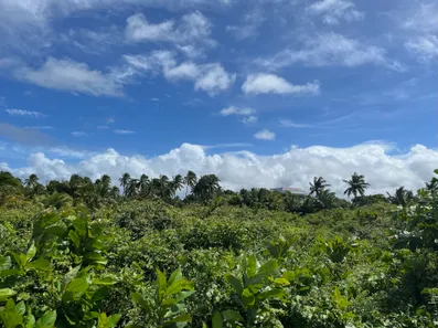 Terreno / Lote / Condomínio à venda, 46000m² no , Barra de Santo Antônio