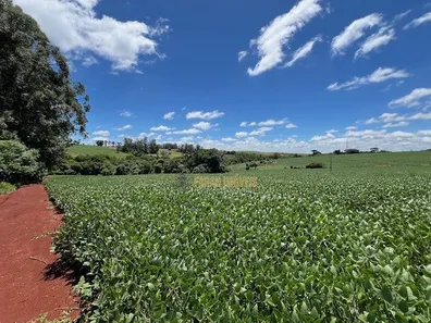 Fazenda / Sítio / Chácara com 6 Quartos à venda, 4m² no Parque Industrial José Garcia Gimenes, Cambé
