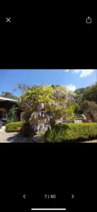 Loja / Salão / Ponto Comercial com 7 Quartos à venda, 665m² no , Campos do Jordão