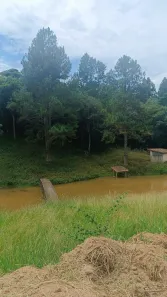 Casa de Condomínio com 1 Quarto à venda, 500m² no Curral, Ibiúna