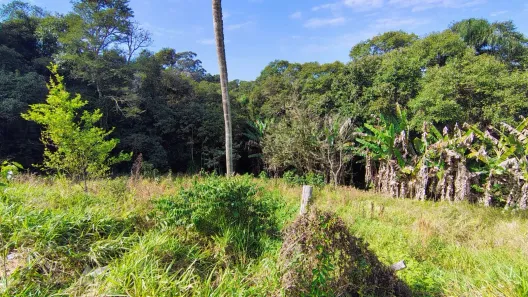 Fazenda / Sítio / Chácara com 2 Quartos à venda, 167m² no , Ibiúna