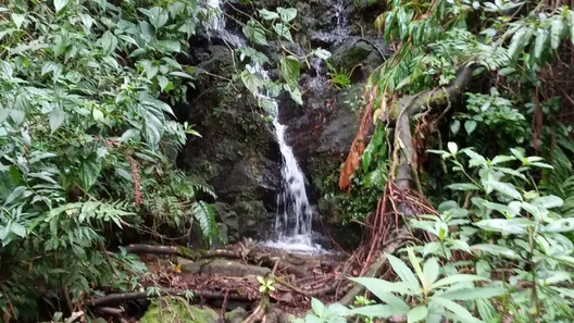 Fazenda / Sítio / Chácara à venda, 480000m² no Visconde de Mauá, Resende