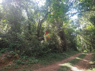 Terreno / Lote / Condomínio à venda, 2400m² no Cabeceiras, Nova Lima
