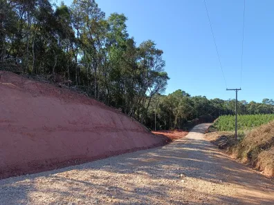 Fazenda / Sítio / Chácara à venda, 20000m² no Área Rural de Campo Largo, Campo Largo