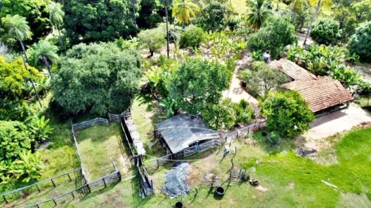 Terreno / Lote / Condomínio à venda, 100m² no Setor Central, Ponte Alta do Tocantins