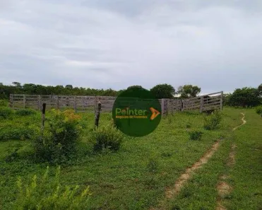 Fazenda / Sítio / Chácara à venda, 4410450m² no , Ponte Alta do Tocantins