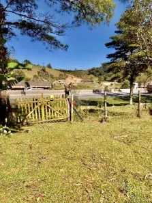 Fazenda / Sítio / Chácara com 1 Quarto à venda, 915m² no Centro, São José dos Pinhais