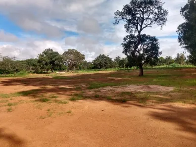 Fazenda / Sítio / Chácara à venda, 20000m² no Arapoanga, Brasília