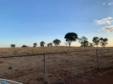 Fazenda / Sítio / Chácara com 5 Quartos à venda, 407m² no Área Rural de Gurupi, Gurupi