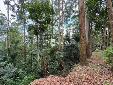 Terreno / Lote / Condomínio à venda, 3688m² no Moinho Velho, Embu das Artes
