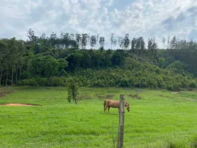 Terreno / Lote / Condomínio à venda, 1000m² no , Alumínio