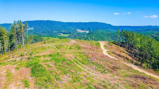 Fazenda / Sítio / Chácara com 1 Quarto à venda, 2693786m² no Centro, Campo Largo