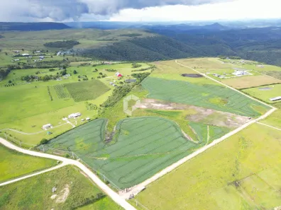 Terreno / Lote / Condomínio à venda, 20000m² no São Luiz do Purunã, Balsa Nova