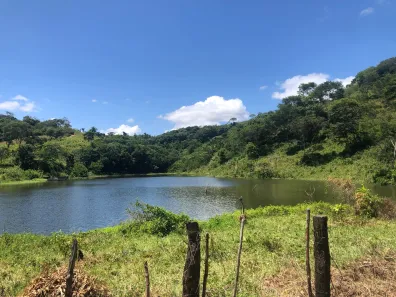 Fazenda / Sítio / Chácara à venda, 160000000m² no , Areia