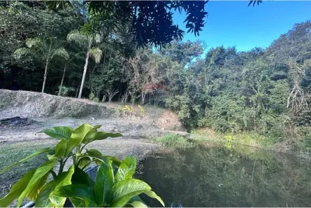 Fazenda / Sítio / Chácara com 3 Quartos à venda, 20000m² no Usina, Atibaia